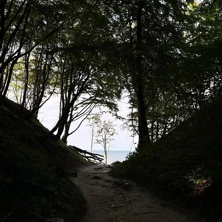 Morski Brzeg * Jastrzębia Góra