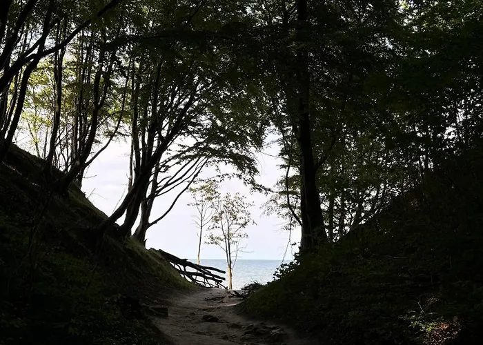 Morski Brzeg * Jastrzębia Góra